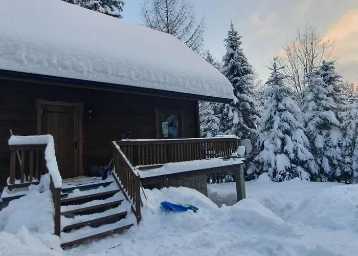 Lesnica Ze * 브렌나